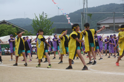 ソーラン