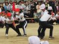 pict-IMG_0799